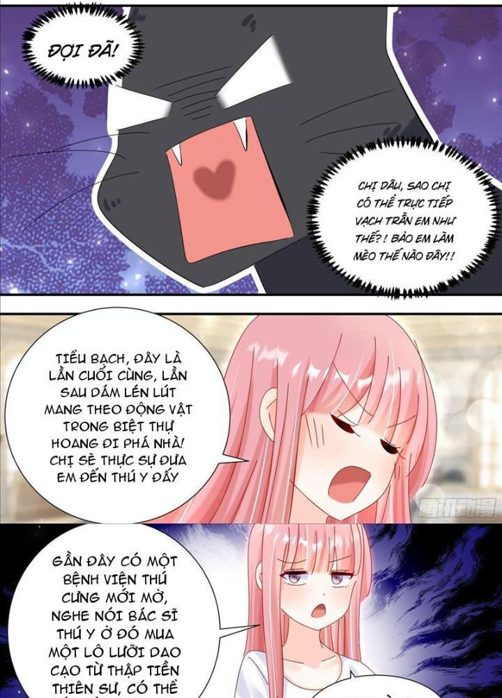 Trọng Sinh Thành Chó Của Nữ Thần Chapter 331 - Trang 4