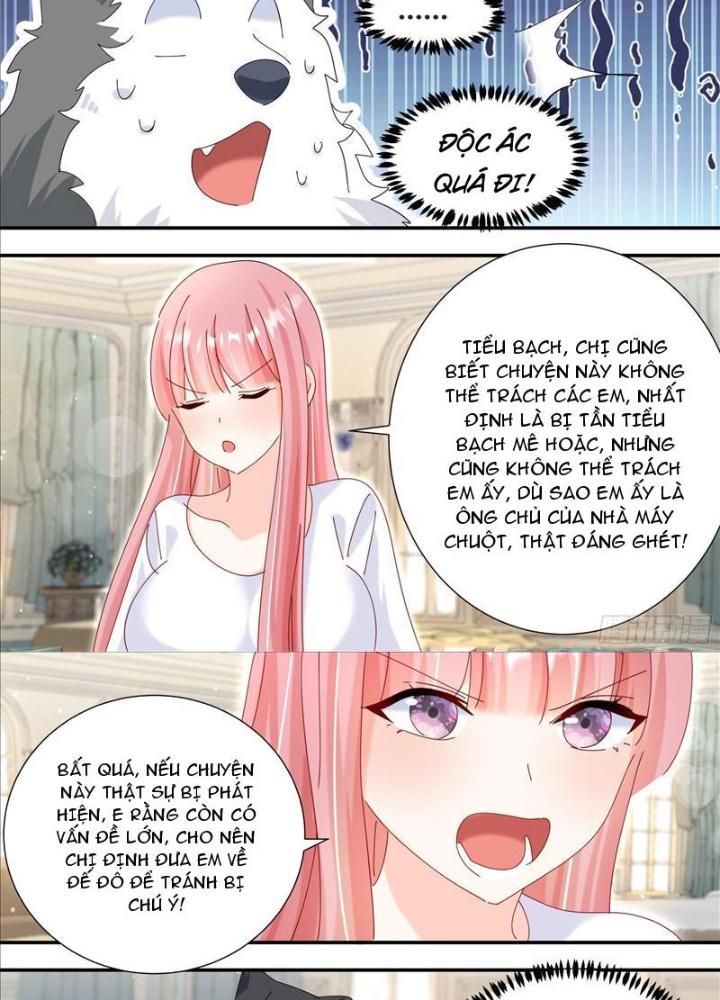 Trọng Sinh Thành Chó Của Nữ Thần Chapter 331 - Trang 4