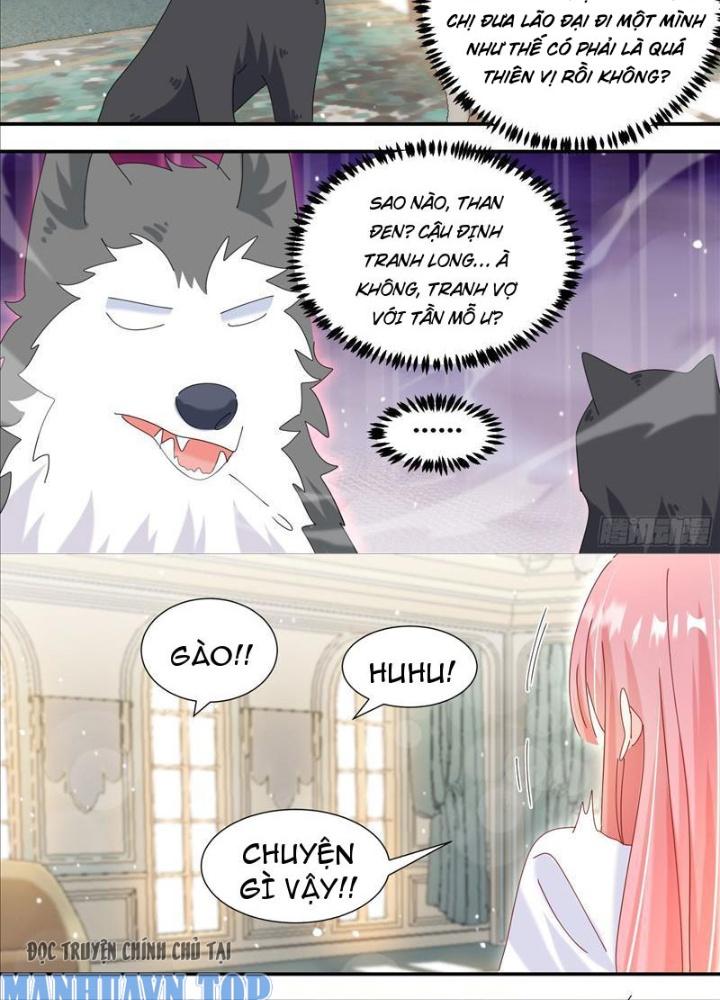 Trọng Sinh Thành Chó Của Nữ Thần Chapter 331 - Trang 4