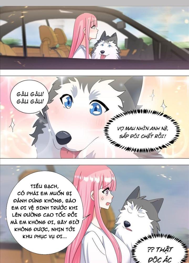 Trọng Sinh Thành Chó Của Nữ Thần Chapter 332 - Trang 4