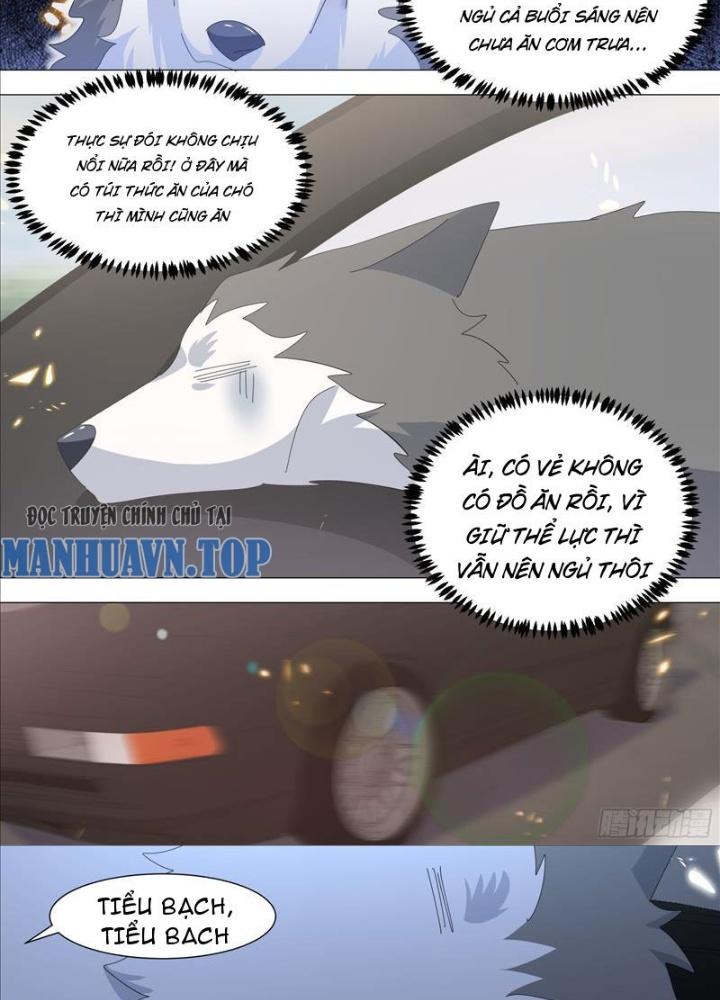 Trọng Sinh Thành Chó Của Nữ Thần Chapter 332 - Trang 4