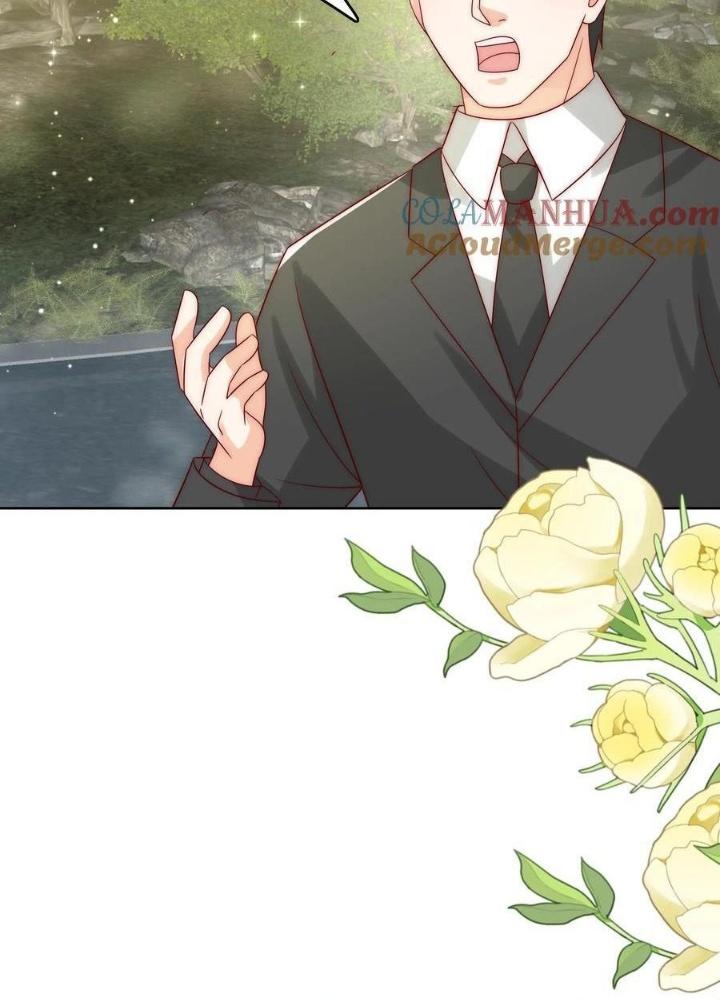 Tiểu Manh Bảo Bốn Tuổi Theo Sư Phụ Xuống Núi Chapter 302 - Trang 3