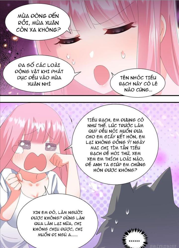 Trọng Sinh Thành Chó Của Nữ Thần Chapter 334 - Trang 4