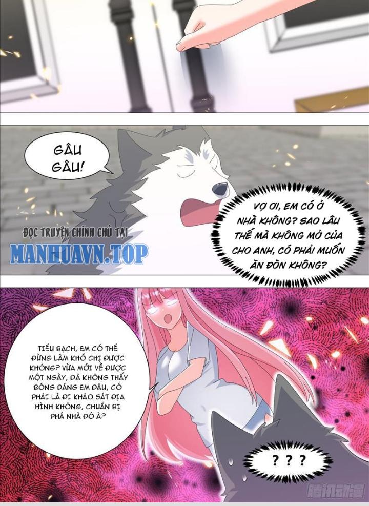 Trọng Sinh Thành Chó Của Nữ Thần Chapter 336 - Trang 4