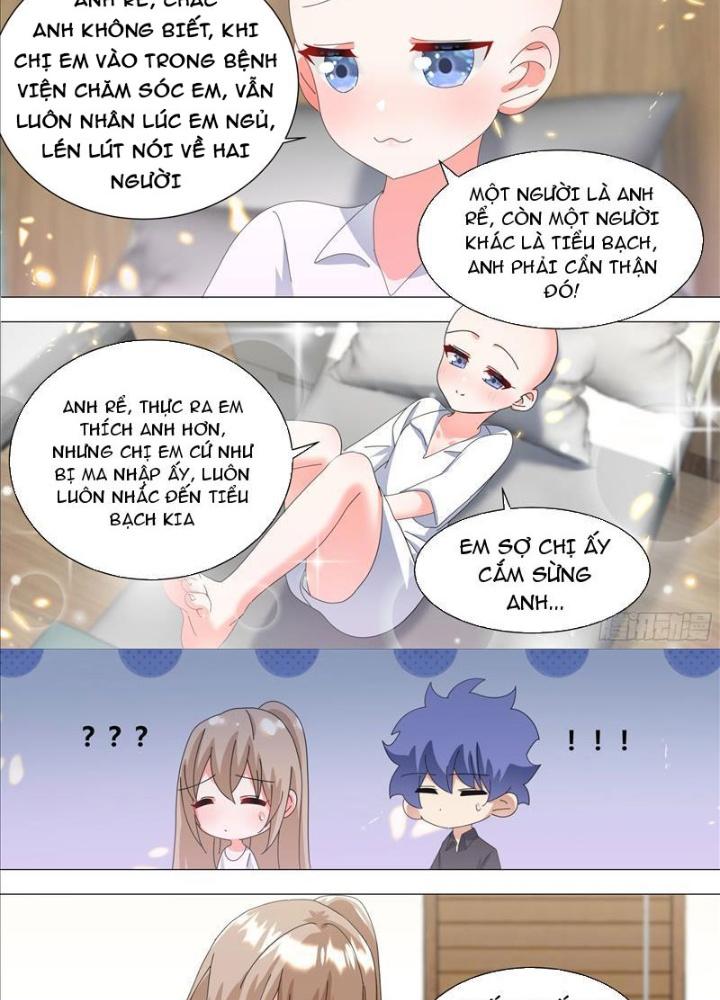 Trọng Sinh Thành Chó Của Nữ Thần Chapter 336 - Trang 4