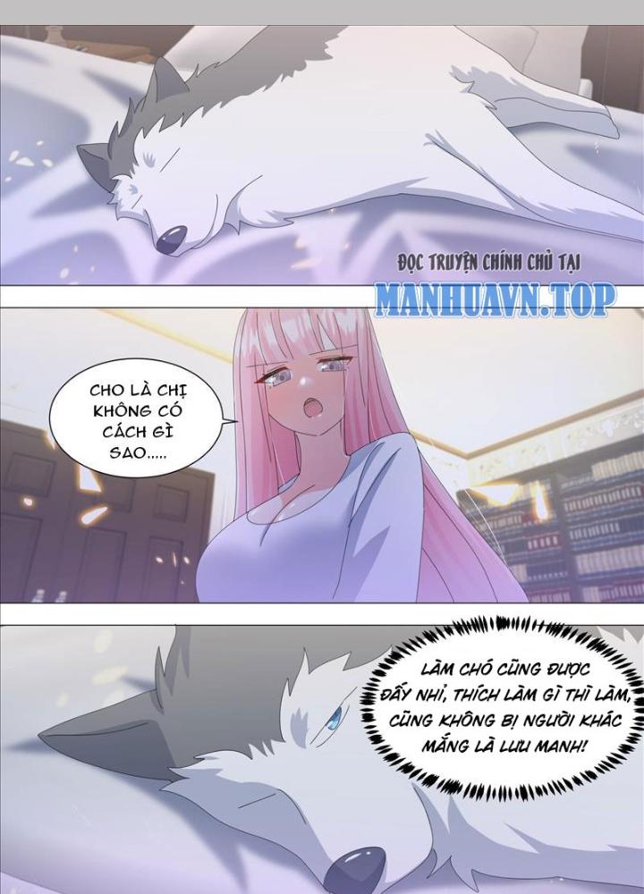 Trọng Sinh Thành Chó Của Nữ Thần Chapter 338 - Trang 4