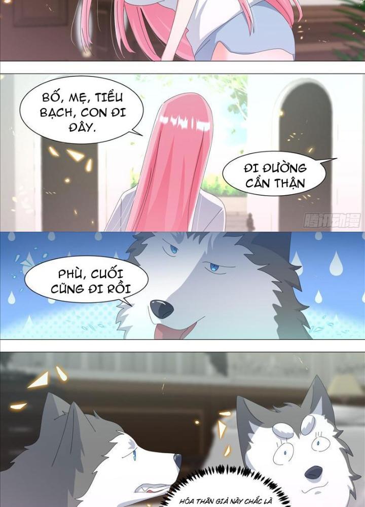 Trọng Sinh Thành Chó Của Nữ Thần Chapter 338 - Trang 4
