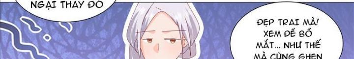Trọng Sinh Thành Chó Của Nữ Thần Chapter 339 - Trang 4