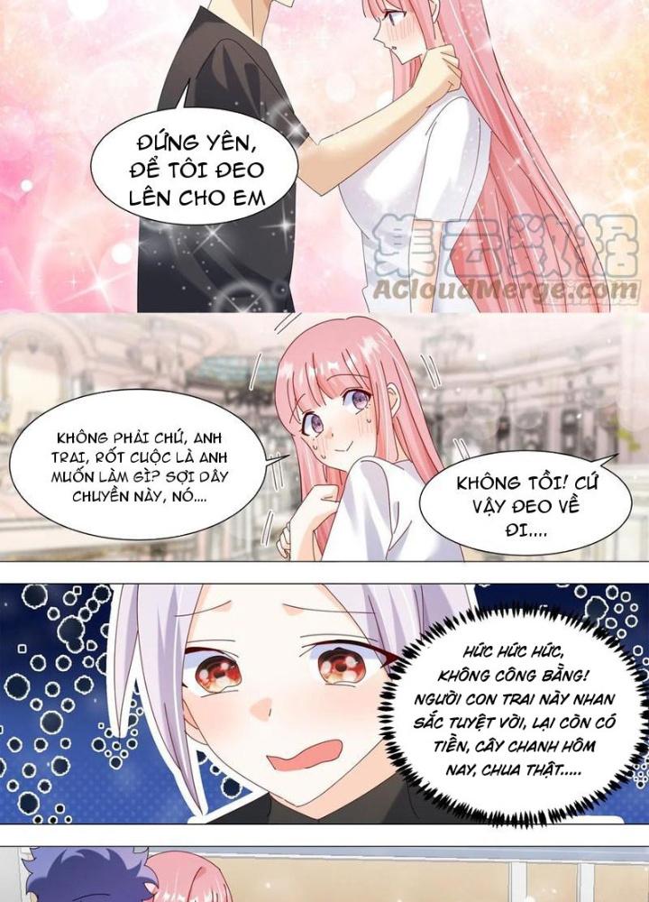 Trọng Sinh Thành Chó Của Nữ Thần Chapter 341 - Trang 4