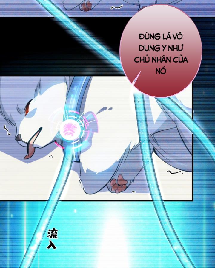 Ta! Phản Phái Thiên Mệnh Lại Thành Chính Đạo Lão Tổ Chapter 44 - Trang 3