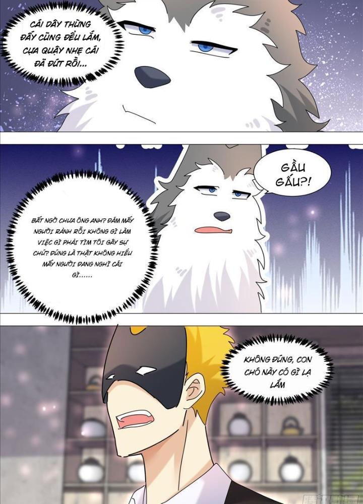 Trọng Sinh Thành Chó Của Nữ Thần Chapter 365 - Trang 4