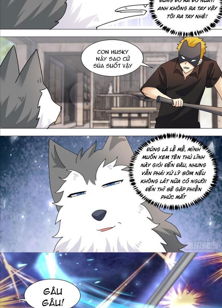 Trọng Sinh Thành Chó Của Nữ Thần Chapter 365 - Trang 4