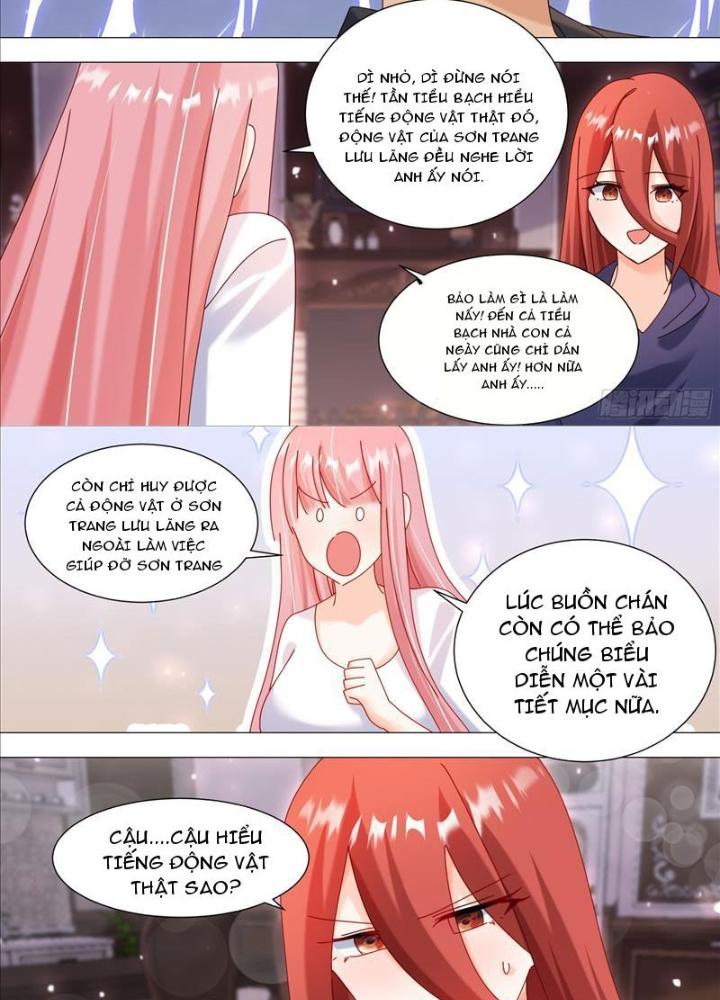 Trọng Sinh Thành Chó Của Nữ Thần Chapter 369 - Trang 4