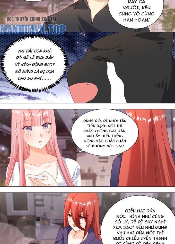 Trọng Sinh Thành Chó Của Nữ Thần Chapter 369 - Trang 4