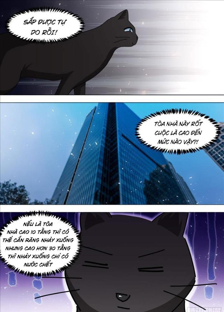 Trọng Sinh Thành Chó Của Nữ Thần Chapter 370 - Trang 4