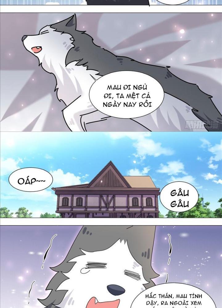 Trọng Sinh Thành Chó Của Nữ Thần Chapter 371 - Trang 4