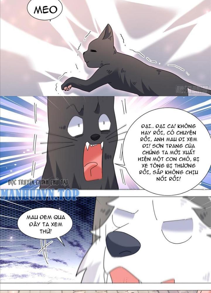 Trọng Sinh Thành Chó Của Nữ Thần Chapter 371 - Trang 4