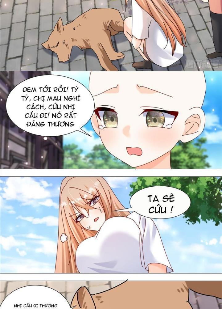 Trọng Sinh Thành Chó Của Nữ Thần Chapter 371 - Trang 4