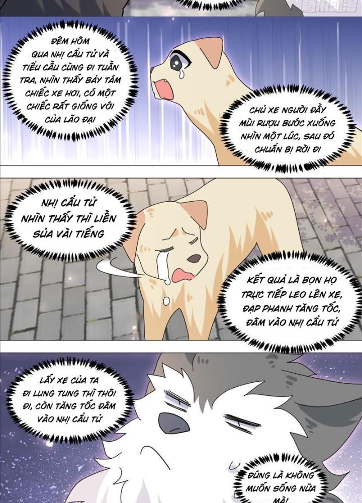 Trọng Sinh Thành Chó Của Nữ Thần Chapter 371 - Trang 4