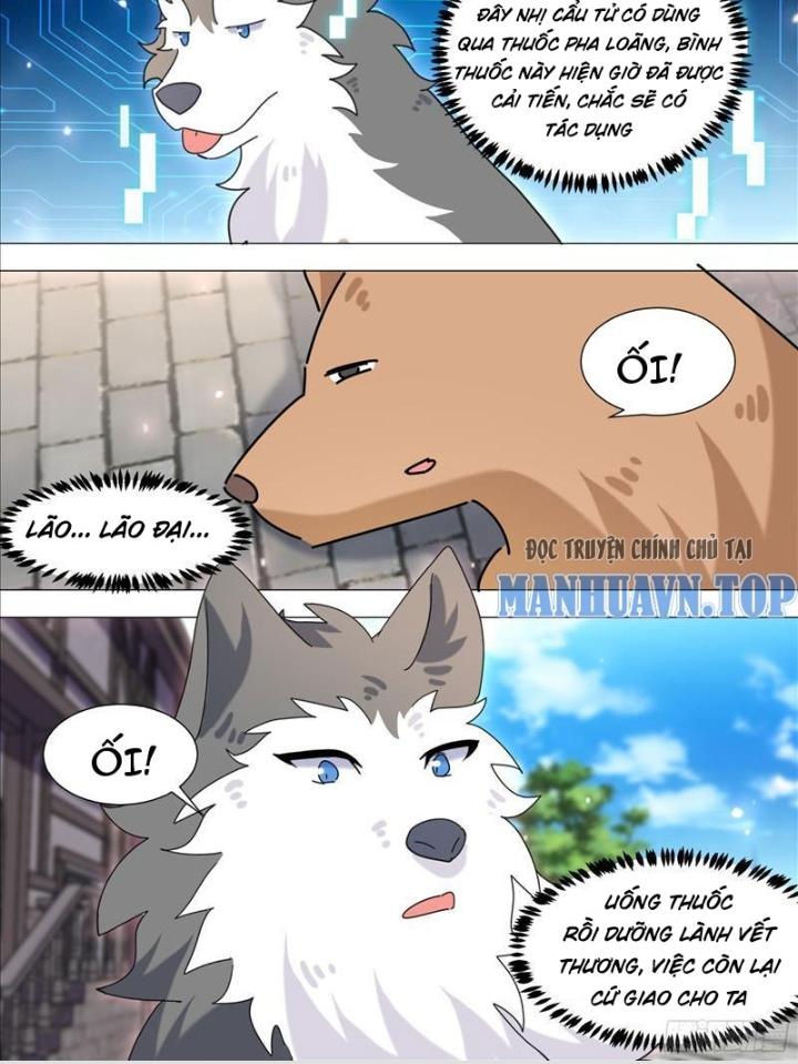 Trọng Sinh Thành Chó Của Nữ Thần Chapter 371 - Trang 4