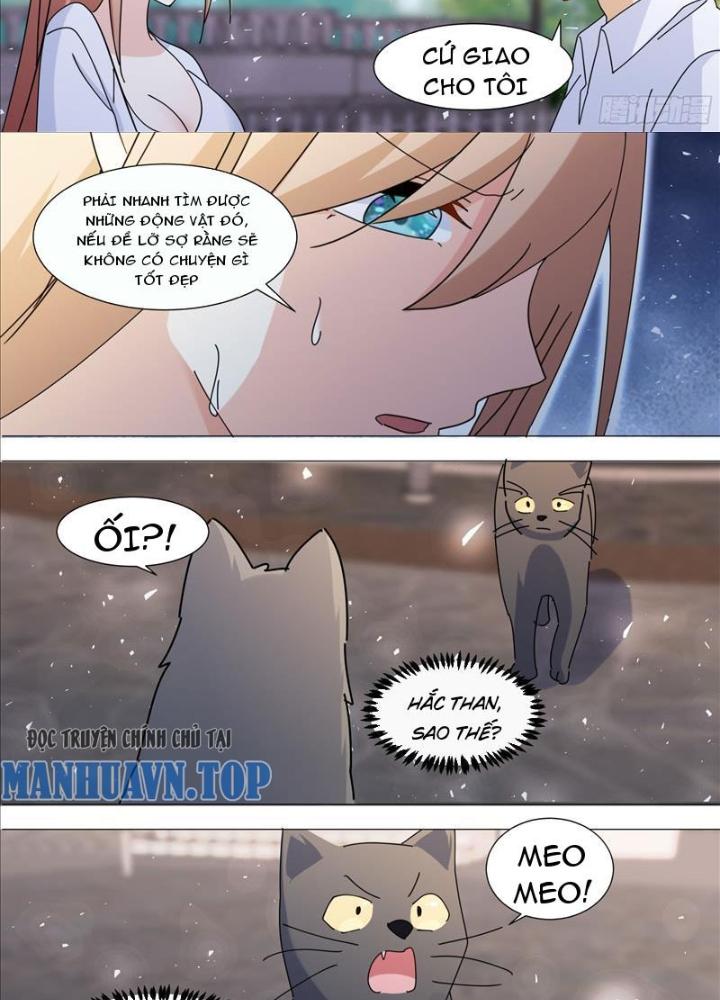 Trọng Sinh Thành Chó Của Nữ Thần Chapter 372 - Trang 4