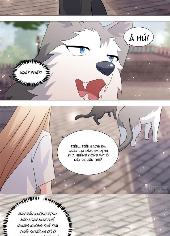 Trọng Sinh Thành Chó Của Nữ Thần Chapter 372 - Trang 4
