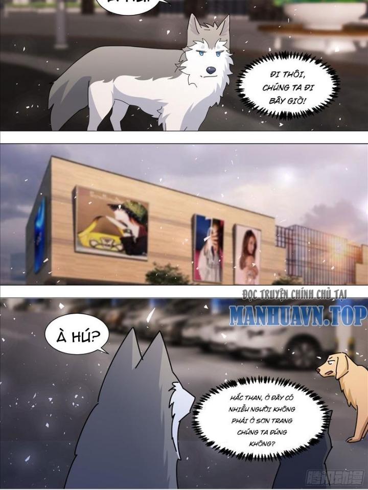 Trọng Sinh Thành Chó Của Nữ Thần Chapter 372 - Trang 4
