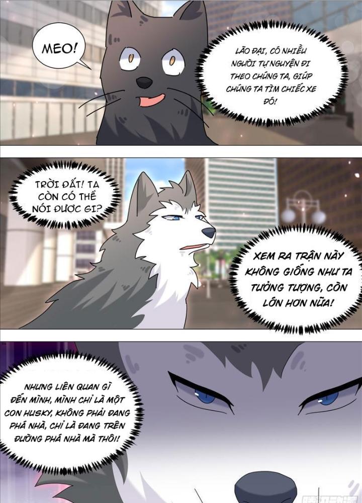 Trọng Sinh Thành Chó Của Nữ Thần Chapter 373 - Trang 4