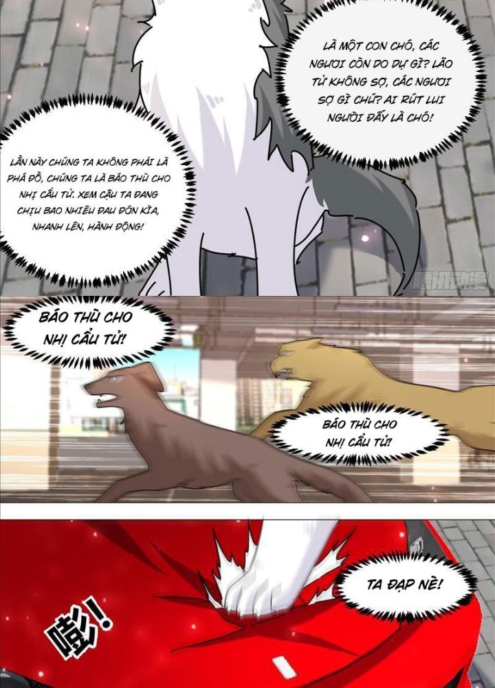 Trọng Sinh Thành Chó Của Nữ Thần Chapter 373 - Trang 4