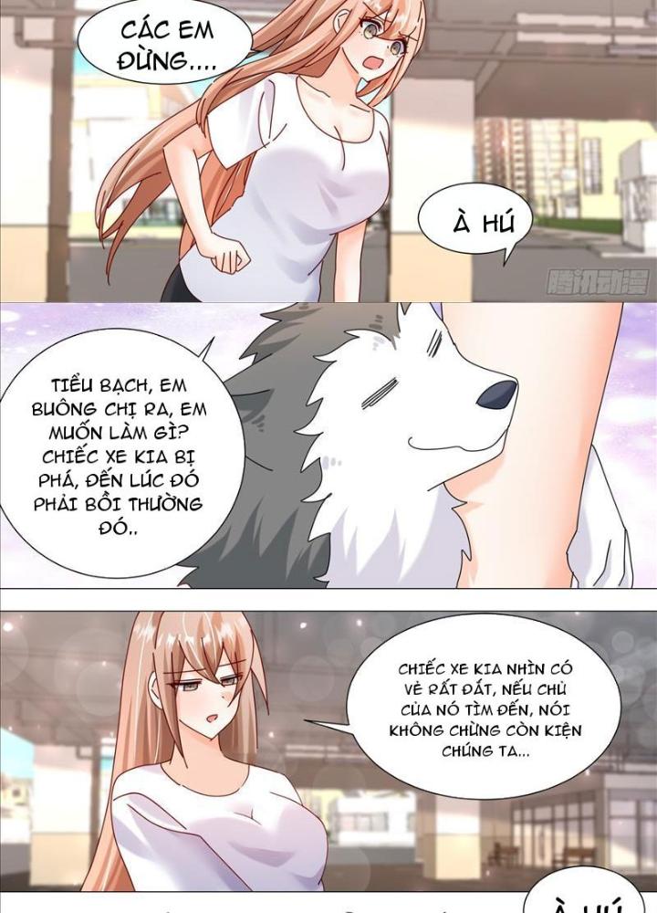 Trọng Sinh Thành Chó Của Nữ Thần Chapter 373 - Trang 4