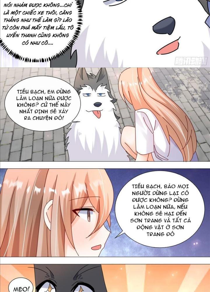 Trọng Sinh Thành Chó Của Nữ Thần Chapter 373 - Trang 4