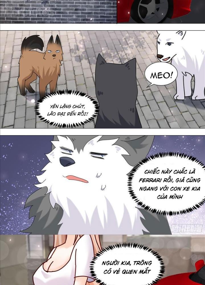 Trọng Sinh Thành Chó Của Nữ Thần Chapter 373 - Trang 4
