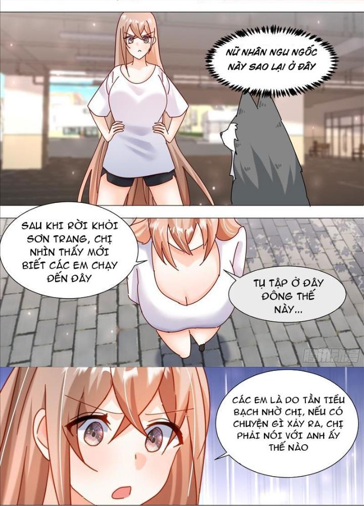 Trọng Sinh Thành Chó Của Nữ Thần Chapter 373 - Trang 4