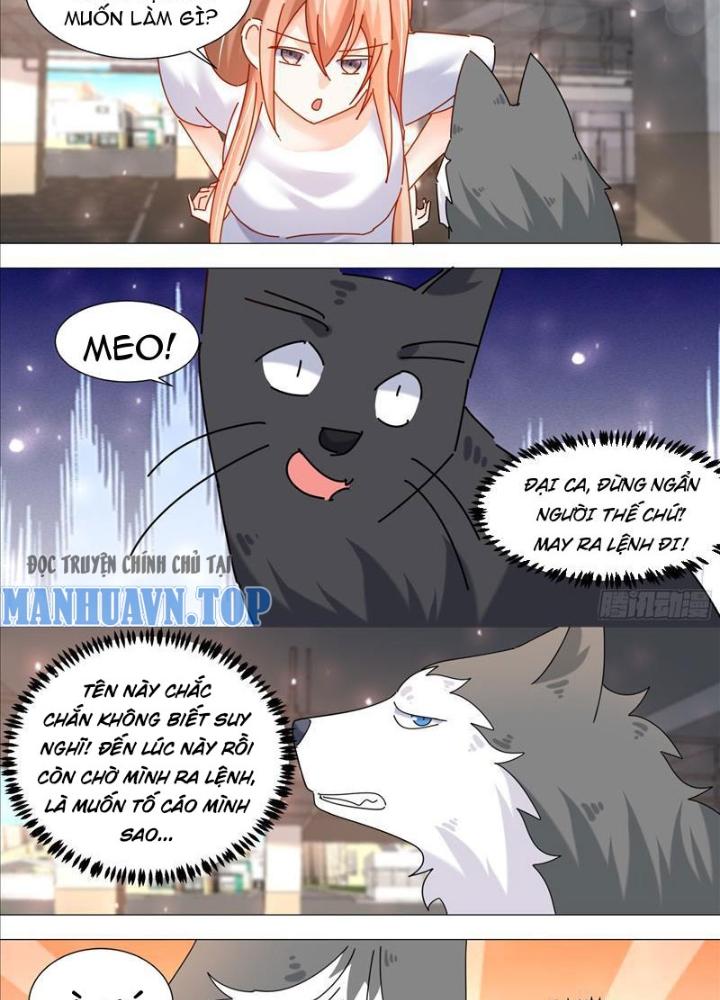 Trọng Sinh Thành Chó Của Nữ Thần Chapter 373 - Trang 4