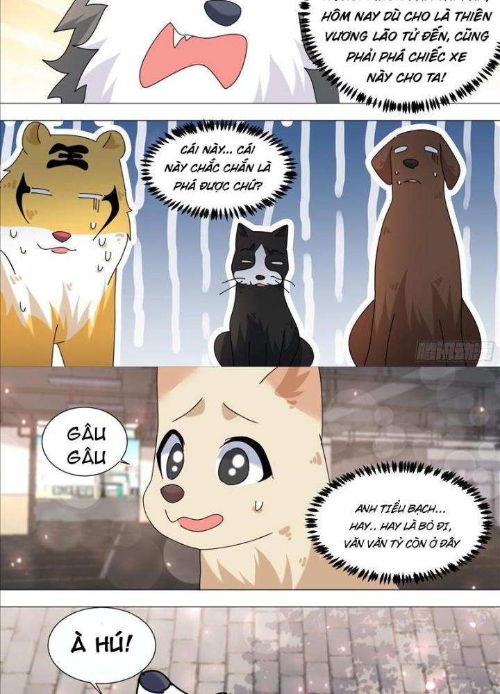 Trọng Sinh Thành Chó Của Nữ Thần Chapter 373 - Trang 4
