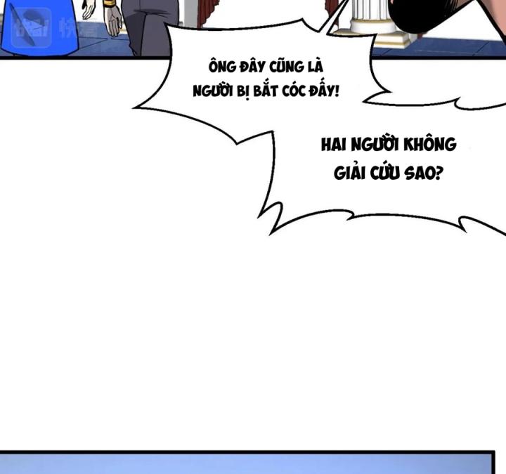 Nửa Cái Đầu Trọc Chapter 23 - Trang 2