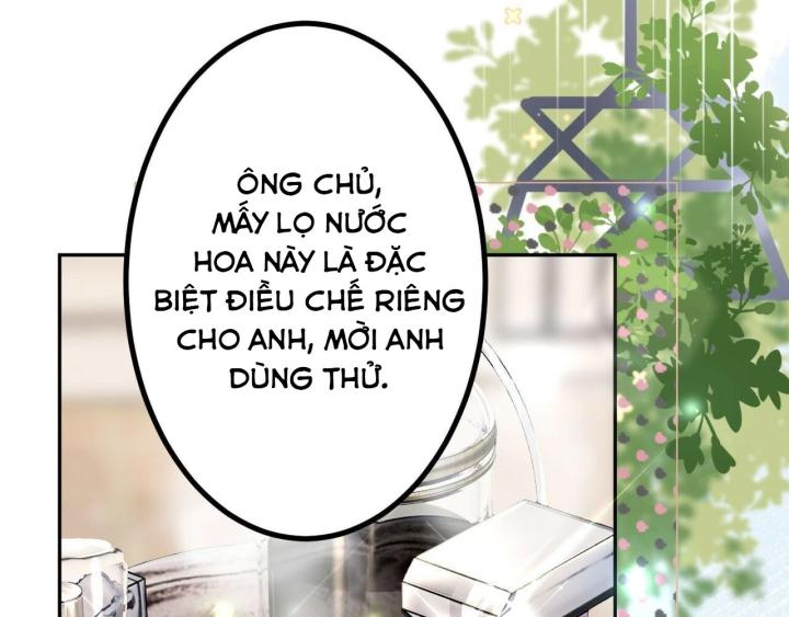 Sau Khi Bị Hắn Ngược Đãi : Cô Quay Lại Trả Thù Chapter 16 - Trang 3