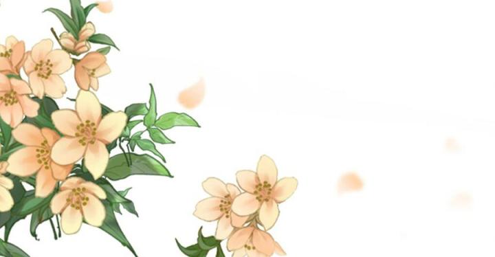 Đồ Đệ Quá Gần Gũi Phải Làm Sao Chapter 4 - Trang 2