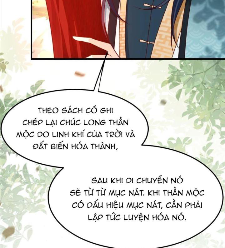 Đồ Đệ Quá Gần Gũi Phải Làm Sao Chapter 7 - Trang 2