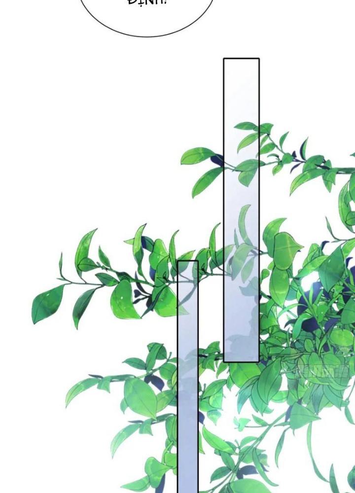 Bắt Đầu Đánh Dấu Bảy Vị Sư Tỷ Giúp Ta Bay Chapter 15 - Trang 2