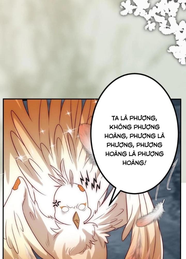 Tiểu Manh Bảo Bốn Tuổi Theo Sư Phụ Xuống Núi Chapter 307 - Trang 3