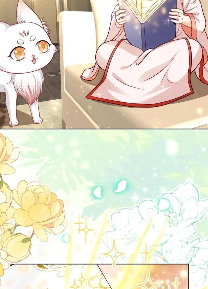 Tiểu Manh Bảo Bốn Tuổi Theo Sư Phụ Xuống Núi Chapter 312 - Trang 3