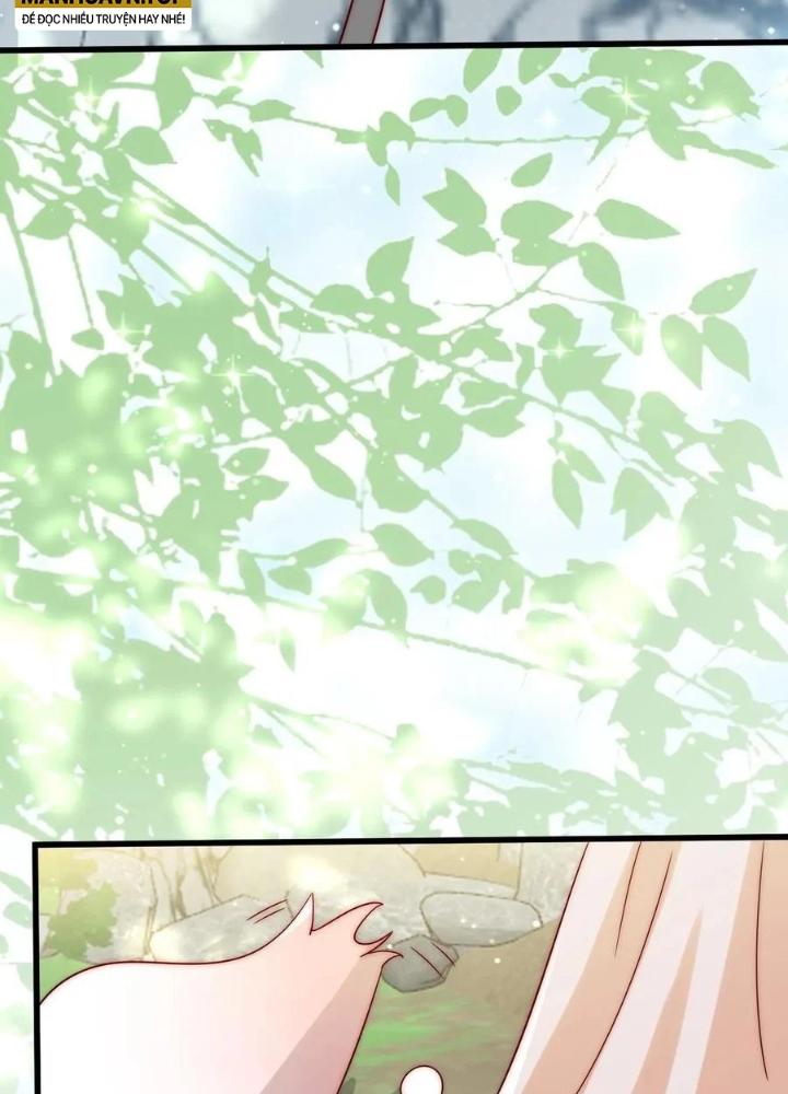 Tiểu Manh Bảo Bốn Tuổi Theo Sư Phụ Xuống Núi Chapter 313 - Trang 3