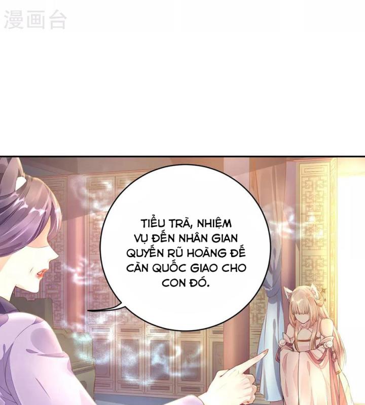 Hồ Ly Tinh Của Trẫm Chapter 1 - Trang 2