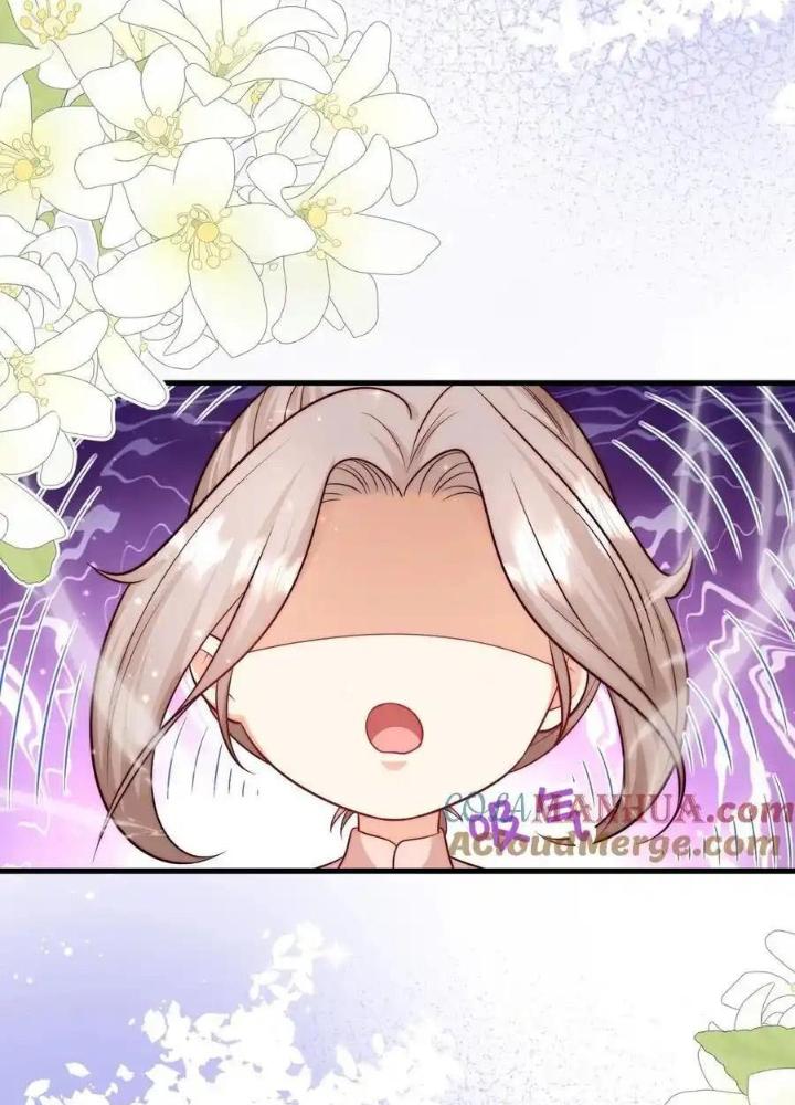 Tiểu Manh Bảo Bốn Tuổi Theo Sư Phụ Xuống Núi Chapter 317 - Trang 3