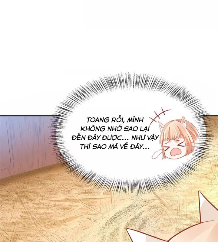 Hồ Ly Tinh Của Trẫm Chapter 6 - Trang 2