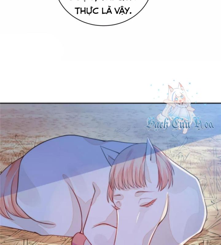 Hồ Ly Tinh Của Trẫm Chapter 8 - Trang 2