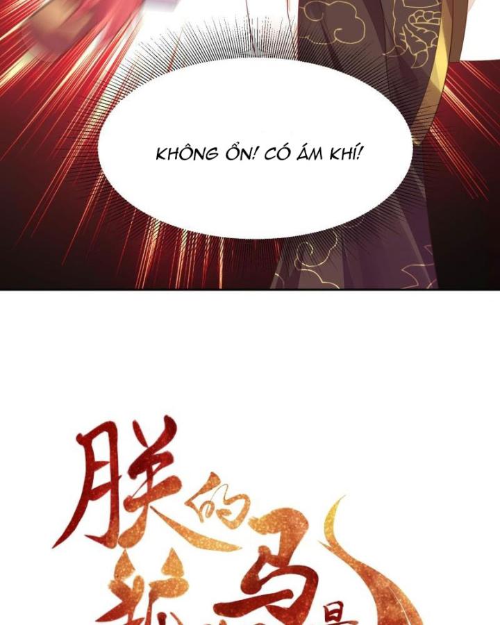 Hồ Ly Tinh Của Trẫm Chapter 12 - Trang 2