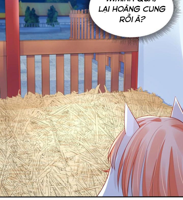 Hồ Ly Tinh Của Trẫm Chapter 13 - Trang 2
