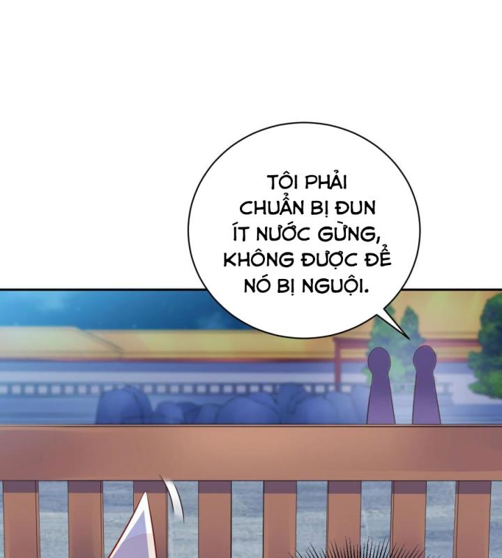 Hồ Ly Tinh Của Trẫm Chapter 13 - Trang 2